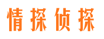 平武市调查公司